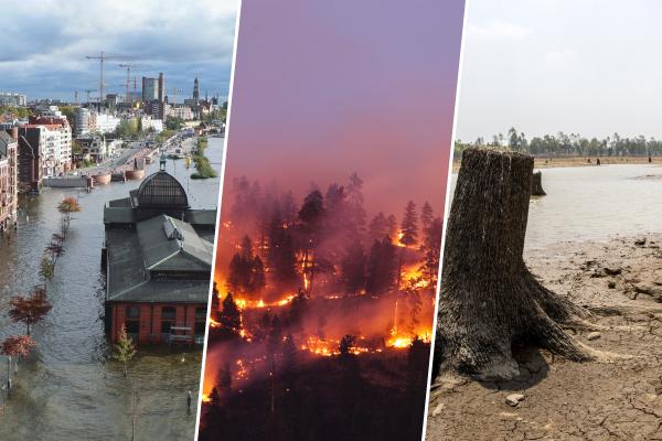 The Land Is Crying: Africa Must Answer