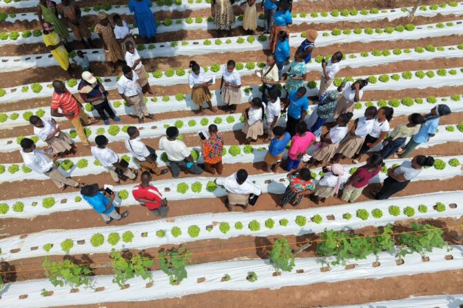 Ghana’s horticulture drive targets higher yields through climate-smart farming